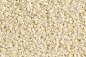 Ковролин Balsan Les Must Les Must 605 фото  | FLOORDEALER