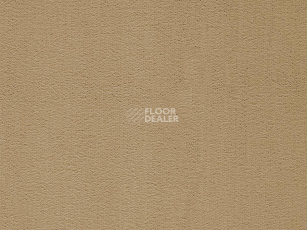 Ковролин Balta ITC Rossini 133 New фото 1 | FLOORDEALER