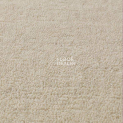 Ковролин Jacaranda Carpets Sambar Mushroom фото 1 | FLOORDEALER
