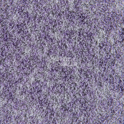 Forbo Flotex Colour s 482027 Penang Orchid фото 3 | FLOORDEALER