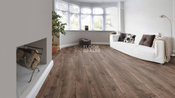 Kronotex Mammut Plus d4791 Дуб Коричневый Макро фото 3 | FLOORDEALER