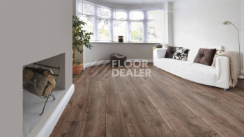 Kronotex Mammut Plus d4791 Дуб Коричневый Макро фото 3 | FLOORDEALER