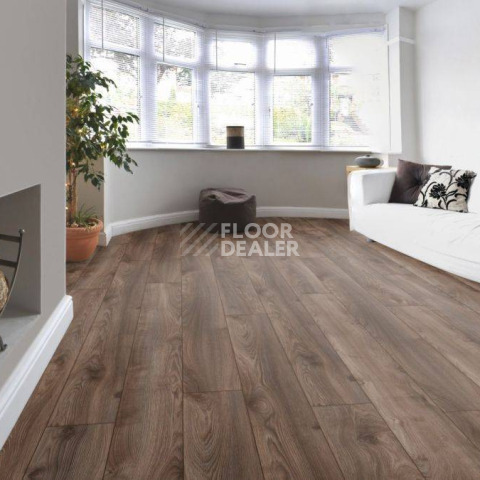 Kronotex Mammut Plus d4791 Дуб Коричневый Макро фото 3 | FLOORDEALER