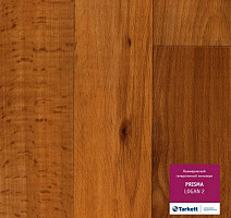 Линолеум Tarkett Prisma LOGAN 2 фото 1 | FLOORDEALER