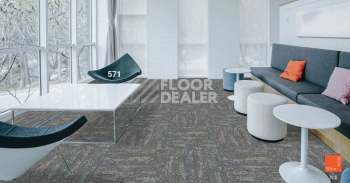 Standard Carpets LAX 571 фото 2 | FLOORDEALER