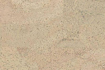 Cork Pro замковое Fantasie Vanilla фото 1 | FLOORDEALER