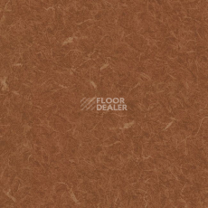 Линолеум Grabo Silver Knight Acoustic 7 455_866-2492 фото 1 | FLOORDEALER