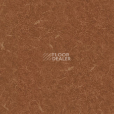 Линолеум Grabo Silver Knight Acoustic 7 455_866-2492 фото 1 | FLOORDEALER