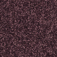 Balsan First Class 890 фото 1 | FLOORDEALER