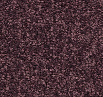 Ковролин Balsan First Class 890 фото 1 | FLOORDEALER