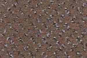 Ковролин Besmer Palatino 866 фото  | FLOORDEALER