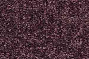 Ковролин Balsan First Class 890 фото  | FLOORDEALER