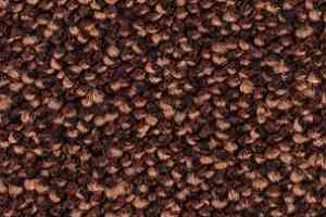 Ковролин Balsan Kaviar 680 фото  | FLOORDEALER