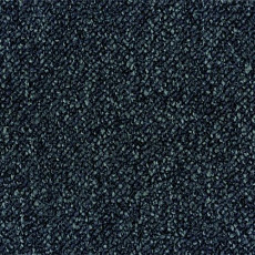 Desso Pallas-Brlm 9985 фото 1 | FLOORDEALER