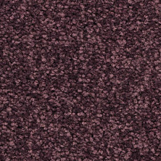 Ковролин Balsan First Class 890 фото 1 | FLOORDEALER