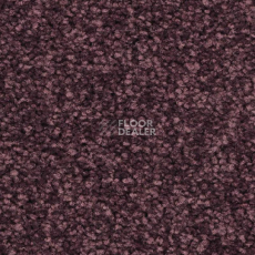 Ковролин Balsan First Class 890 фото 1 | FLOORDEALER