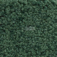 Ковролин Girloon Body1 471 фото 1 | FLOORDEALER