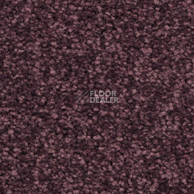 Ковролин Balsan First Class 890 фото 1 | FLOORDEALER