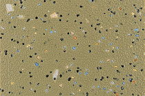 Forbo SafeStep R11 174542 moss фото 3 | FLOORDEALER