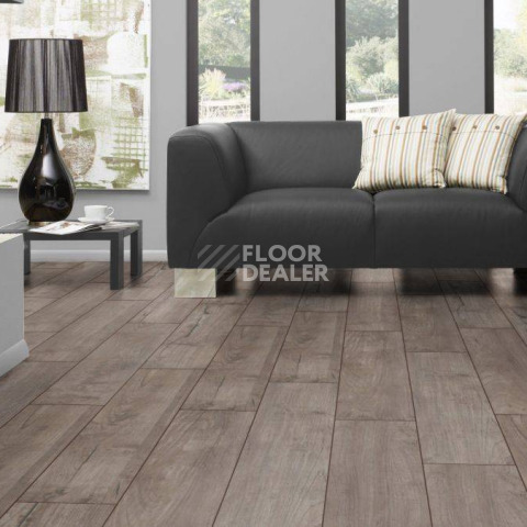Kronotex Exquisit 8мм d3242 Тик Ностальжи Серебряный фото 2 | FLOORDEALER