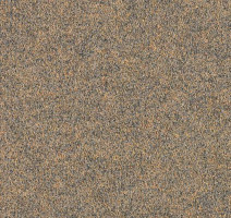 Ковролин Forbo Forte 96004 фото 1 | FLOORDEALER