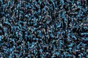 Ковролин Edel Vivaldi 131 фото  | FLOORDEALER