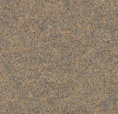 Ковролин Forbo Forte 96004 фото 1 | FLOORDEALER