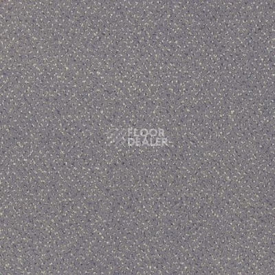 Ковролин Sintelon Orion 10339 фото 1 | FLOORDEALER