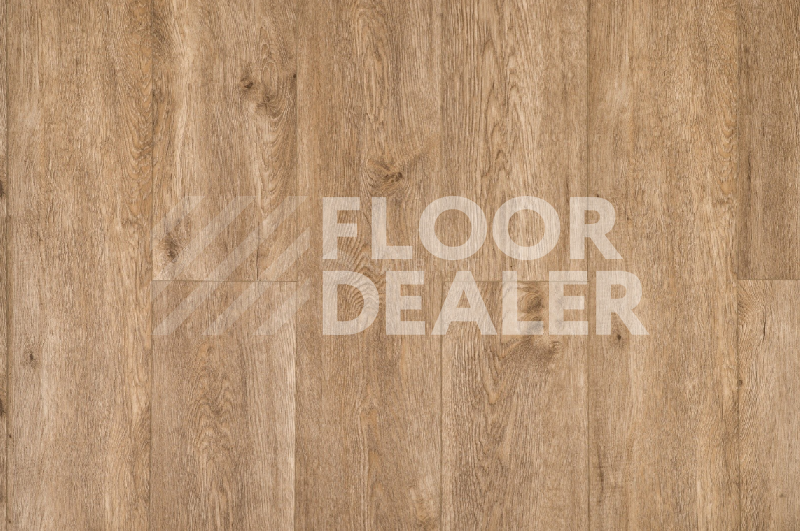 Кварцвиниловые полы Alpine Floor Grand Sequoia Light 3.5мм Миндаль ECO11-601 фото 1 | FLOORDEALER