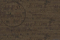 Cork Pro Linea Brown фото 4 | FLOORDEALER