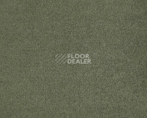 Ковролин Lano Lior 610 Ivy фото 1 | FLOORDEALER