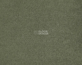 Ковролин Lano Lior 610 Ivy фото 1 | FLOORDEALER