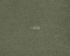 Lano Lior 610 Ivy фото 1 | FLOORDEALER