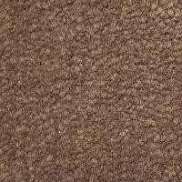 Ковролин Emphatic Beaulieu of America 56595 фото 1 | FLOORDEALER