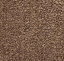 Ковролин Emphatic Beaulieu of America 56595 фото 1 | FLOORDEALER