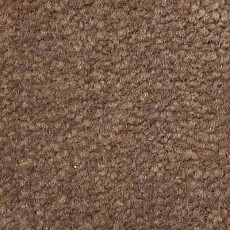 Ковролин Emphatic Beaulieu of America 56595 фото 1 | FLOORDEALER