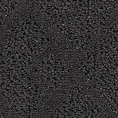 Ковролин Balsan Riziere 960 фото 1 | FLOORDEALER