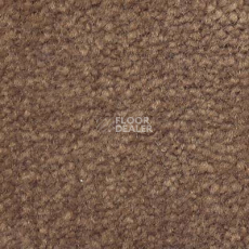 Ковролин Emphatic Beaulieu of America 56595 фото 1 | FLOORDEALER
