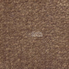Ковролин Emphatic Beaulieu of America 56595 фото 1 | FLOORDEALER