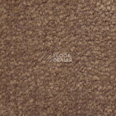 Ковролин Emphatic Beaulieu of America 56595 фото 1 | FLOORDEALER