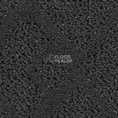 Ковролин Balsan Riziere 960 фото 1 | FLOORDEALER