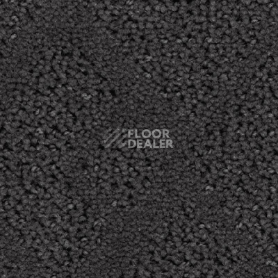 Ковролин Balsan Riziere 960 фото 1 | FLOORDEALER