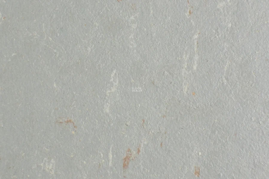 Forbo Marmoleum Solid Piano 3601-360135 warm grey фото 2 | FLOORDEALER