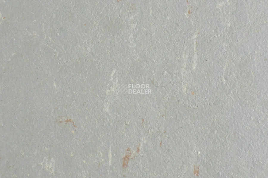 Forbo Marmoleum Solid Piano 3601-360135 warm grey фото 2 | FLOORDEALER