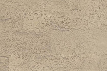 Пробковое покрытие Corkstyle City настенное MEXICO фото 1 | FLOORDEALER