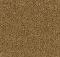 Ковролин Desso Asteranne 2044 фото 1 | FLOORDEALER