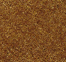 Ковролин Vorwerk Lyrica 2c92 фото 1 | FLOORDEALER