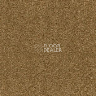 Ковролин Desso Asteranne 2044 фото 1 | FLOORDEALER