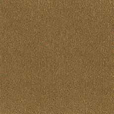 Desso Asteranne 2044 фото 1 | FLOORDEALER