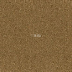 Desso Asteranne 2044 фото 1 | FLOORDEALER